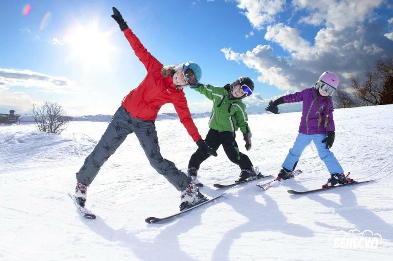 Profamily Hotel Top ベネツコ エクステリア 写真